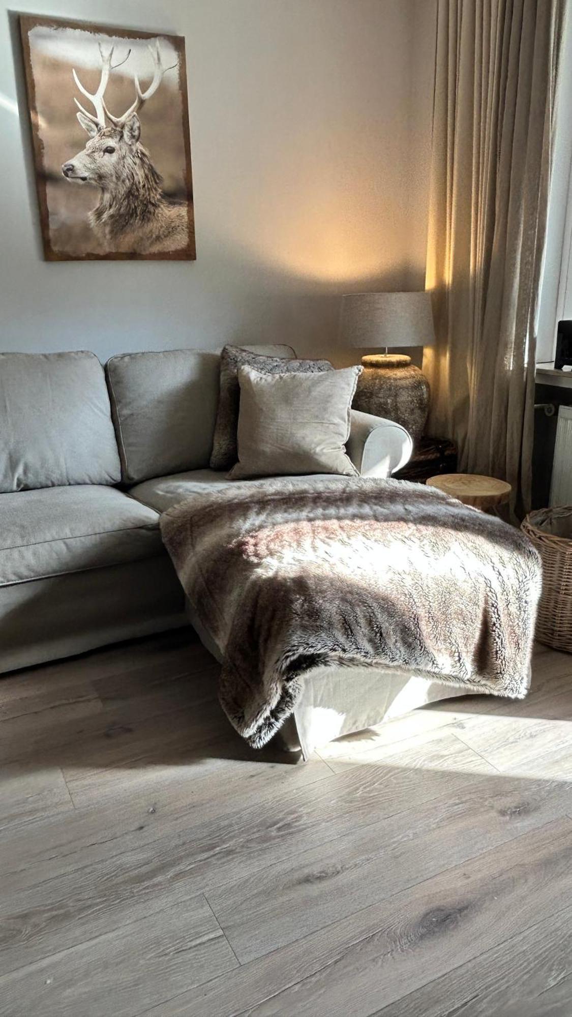 Ferienapartment Hahnenklee Apart 1 Goslar Dış mekan fotoğraf