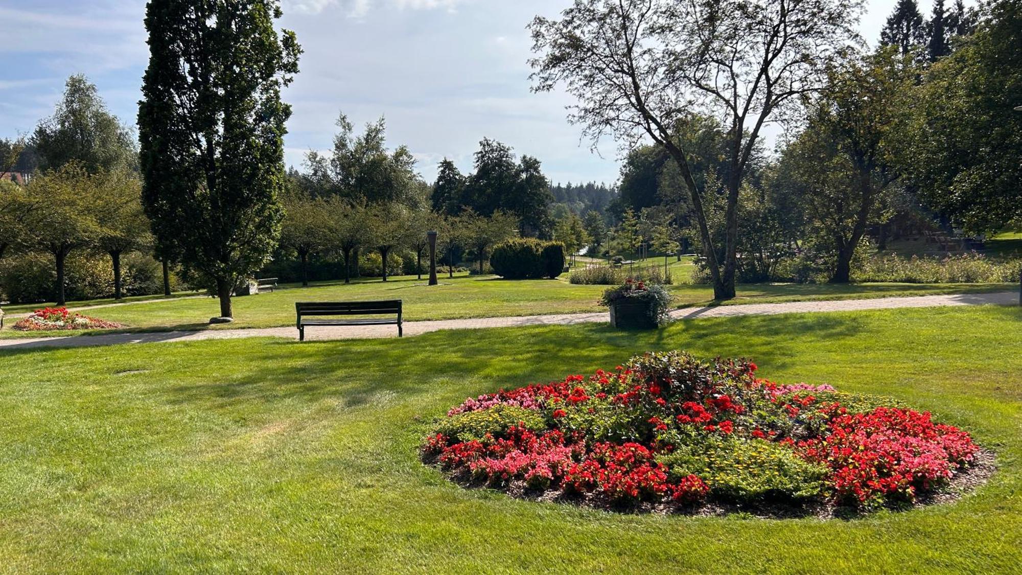 Ferienapartment Hahnenklee Apart 1 Goslar Dış mekan fotoğraf